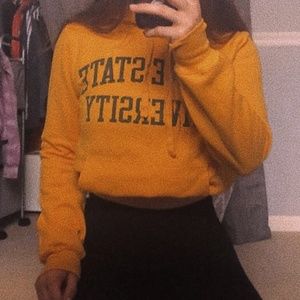 Wayne State University Hoodie/Sweatshirt